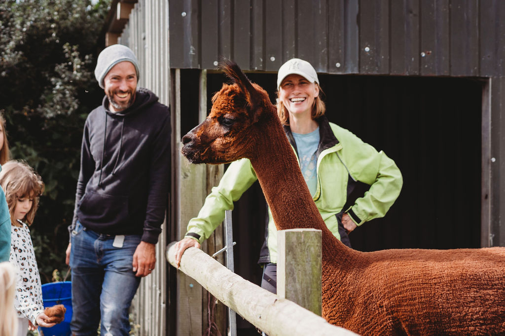 The Magic of Feed The Animals