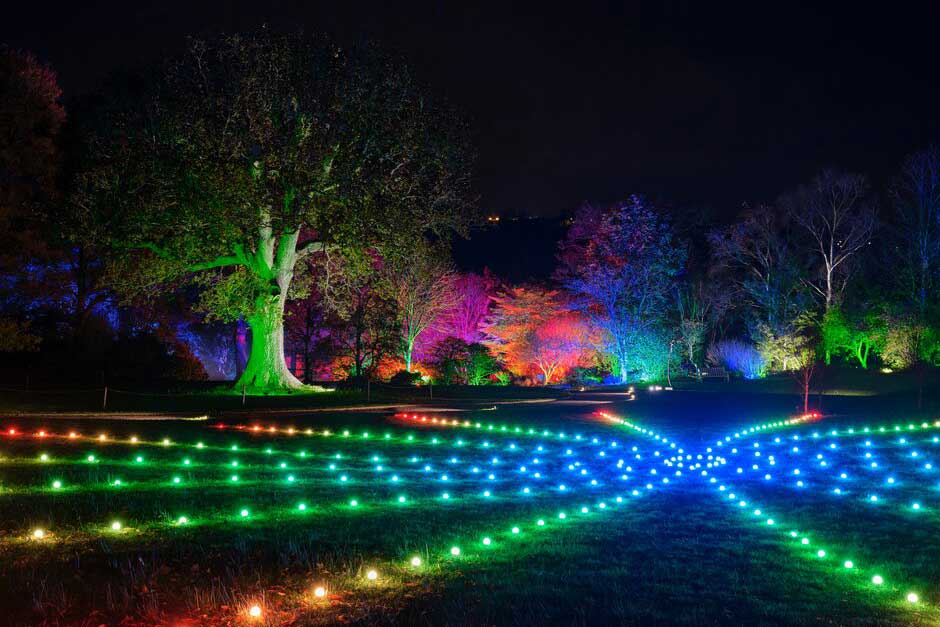 RHS Garden Rosemoor Glow Christmas lights