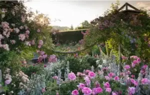 Rosemoor RHS Gardens
