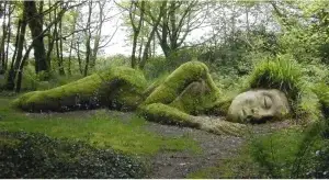 The Lost Gardens of Heligan