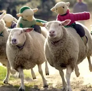 The Big Sheep