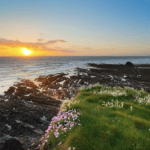 Black Rock Bay - Widemouth
