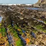 Duckpool Beach Bude