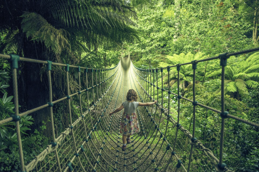 Rope Bridge, Lost Gardens of Heligan