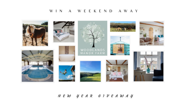 New Year Giveaway Banner